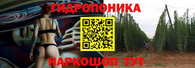 стаф Будённовск