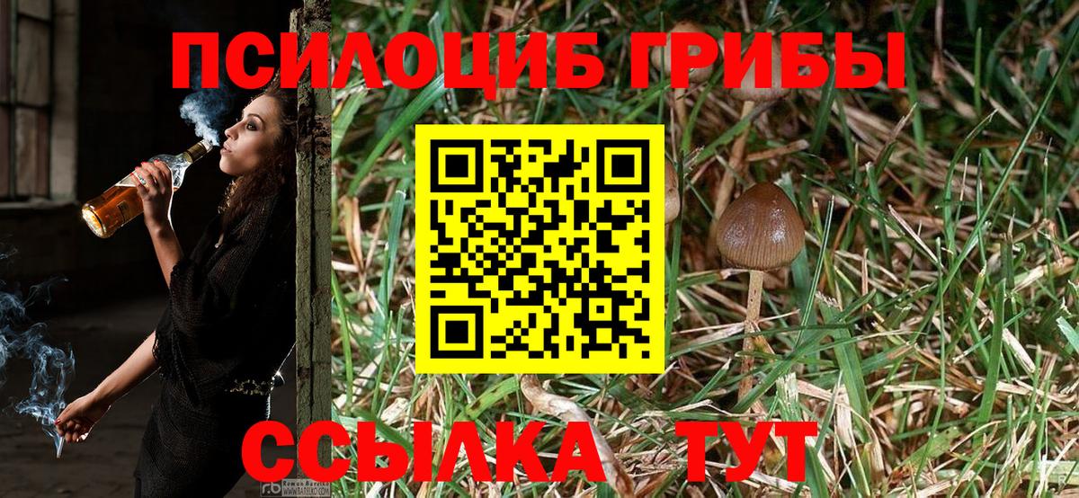 Псилоцибиновые грибы ЛСД  Вход с VPN  Псилоцибиновые грибы Magic Shrooms  Тейково 